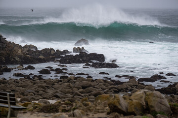 Big Swell at Monterey