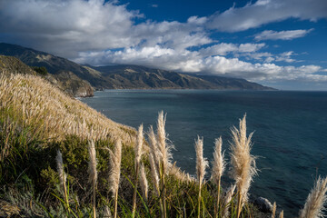 Cabrillo Highway coastal view