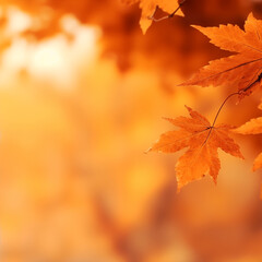 Fototapeta premium Beautiful autumn leaves, Colorful foliage in the park.