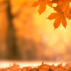 Naklejka na ściany i meble Beautiful autumn leaves, Colorful foliage in the park.