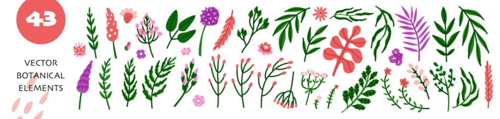 Fototapeta premium Large set of 43 plant elements. Template for making flower arrangements from berry twigs and leaves. Decor for wedding cards. Vector illustration isolated on white background.