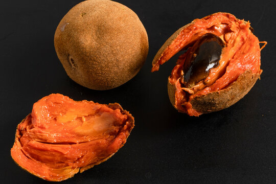 Tropical fruit mamey sliced zapote