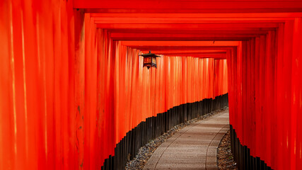 Several gates at historic Fushimi Inari shrine in Kyoto, Japan.