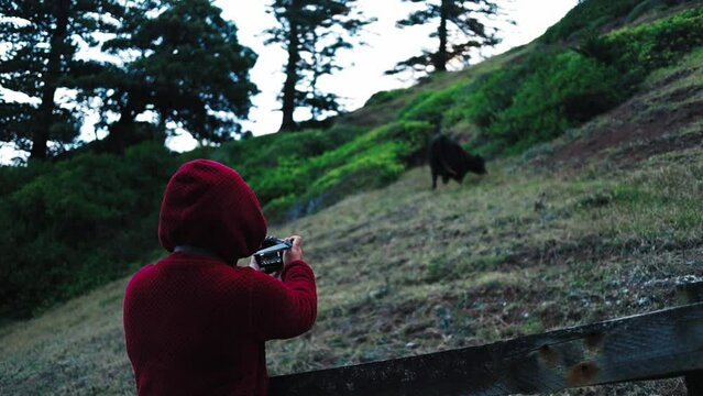 Hooded figure outside farmland secure field capturing animal photograph