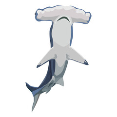 wild shark image png