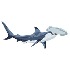 wild shark image png