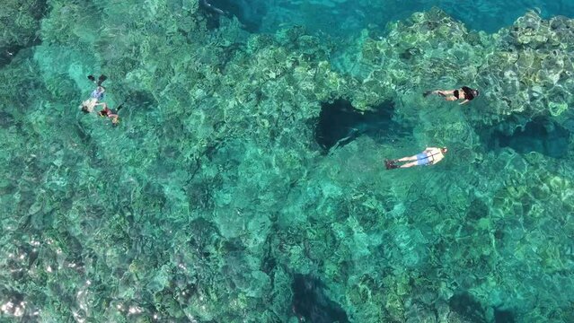 Drone Snorkel Hawaii Tropical 4K