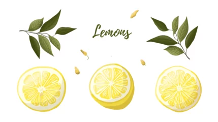 Foto op Plexiglas Vector illustration of yellow lemons on a branch. Vegetables, fruits, kitchen, cooking, eating, drinking tea, gardening designs. © kateluck71