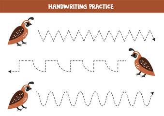 Tracing lines for kids. Cute cartoon quail. Handwriting practice. - obrazy, fototapety, plakaty