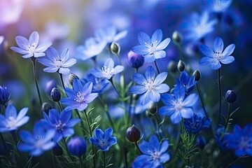Fototapeta na wymiar HD Blue Flowers Background Wallpaper