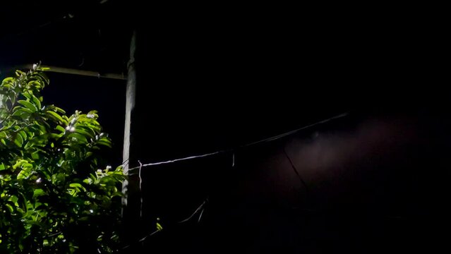 Luna en la noche 