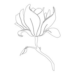 These designs can be used for various purposes which are perfect on t shirts, mugs, signs, cards, pillows and much more.
You can also use these designs with your Cricut and Silhouette cutting machines