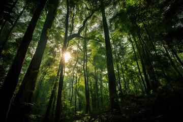 Fototapeta na wymiar Path in the Lush Green Forest. Generative Ai