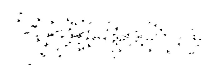 Flying birds silhouette flock. hand drawing. Not AI, Vector illustration