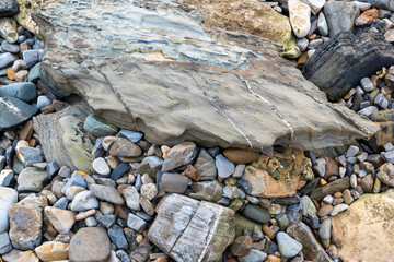 abstract, texture, rocks, plants, stone, rock, nature details for a background