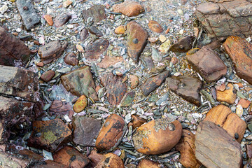 abstract, texture, rocks, plants, stone, rock, nature details for a background
