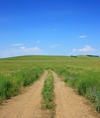 Fototapeta na wymiar Summer landscape with dirt road and green grass, blue sky and clouds
