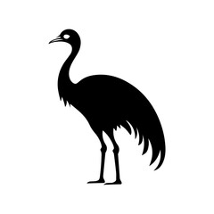 ostrich silhouette isolated on white