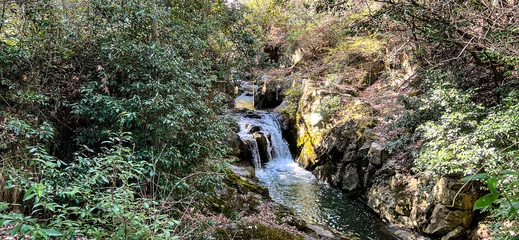 Fotobehang 大阪貝塚市 水間寺の滝 © yamato furoshiki