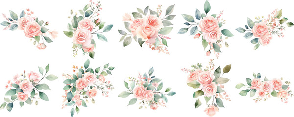 Set of watercolor bouquet of pink roses and green leaves with transparent background