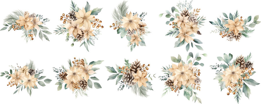 Set of Neutral Christmas Watercolor Poinsettias and Pine Cones on a White Background