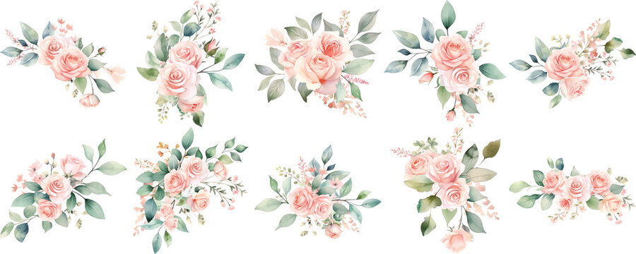 Set of watercolor bouquet of pink roses and green leaves on transparent background