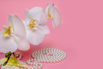 Pearl necklace and white orchid on pink background
