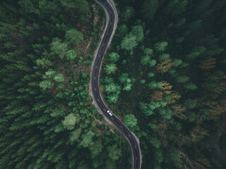 Aerial view taken by drone of a car driving on a forest road in autumn