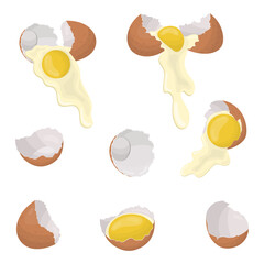 A set of chicken eggs. Raw eggs flow out of the shell. Vector