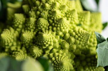 Romanesco Broccoli Cauliflower against a simple white background