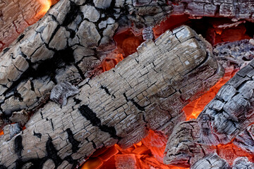 A wood fire for cooking kebaps
