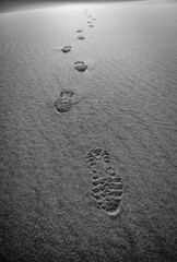 lonely footprints in sand recede into the distance