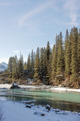 Winter scene of peaceful river and pine trees in Canmore, Alberta