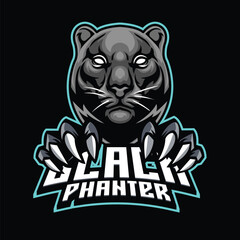 Vector panther mascot logo template for sport bussiness and gaming team isolated