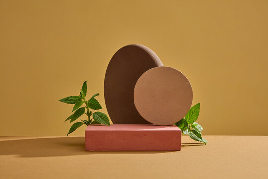 Minimal abstract background for cosmetic product presentation with spearmint. Geometries podiums decorated with fresh leaves of spearmint on brown background. Front view
