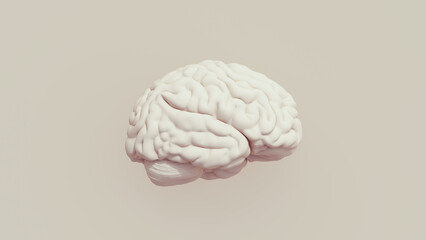 Human brain anatomy intelligence mind neutral background soft tones beige brown 3d illustration render digital rendering - 685536320