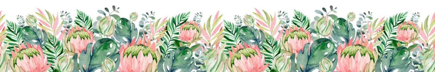 Watercolor tropical seamless border on isolated background. African protea flower evergreen shrub. Eucalyptus botanical ornament.