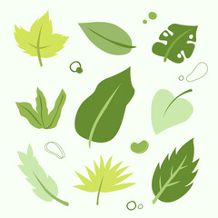 vector green leaf leaves set elements illustrations nature