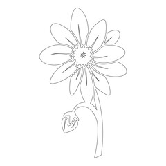 These designs can be used for various purposes which are perfect on t shirts, mugs, signs, cards, pillows and much more.
You can also use these designs with your Cricut and Silhouette cutting machines