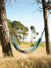 hammock on the beach