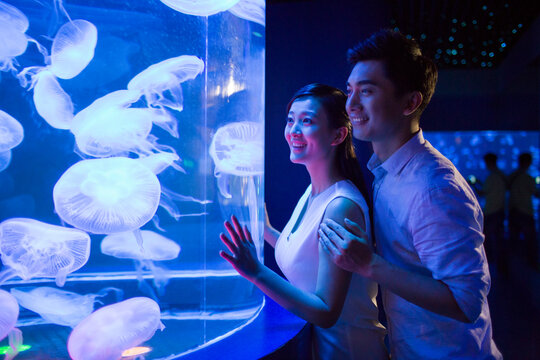 Young couple in aquarium