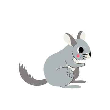 Vector illustration of cute cartoon chinchilla isolated on white background.