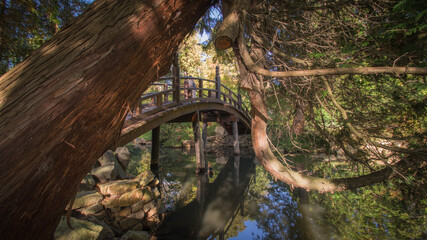 beautiful wooden bridge in the Japanese garden in Wrocław, Lower Silesia, Poland