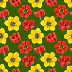 Seamless pattern of watercolor yellow and red tulip flowers. Hand drawn illustration. Botanical hand painted floral elements on green background.