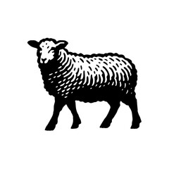 Hand Drawn Simple Monochrome Illustration of a Sheep