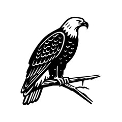 Monochrome Illustration of a Majestic Eagle Perch