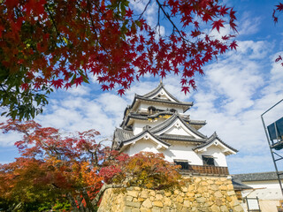 秋の紅葉と彦根城の天守閣
