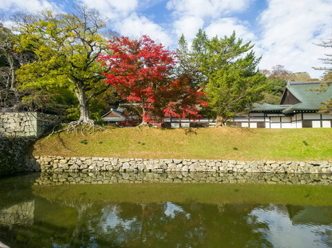 滋賀県 彦根城の表門橋から見える紅葉