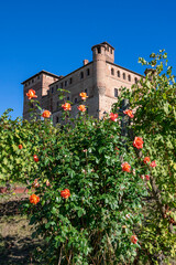 Grinzane Cavour castle 1