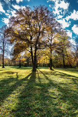 Golden autumn view in famous Munich relax place - Englischer Garten. Munich, Bavaria, Germany